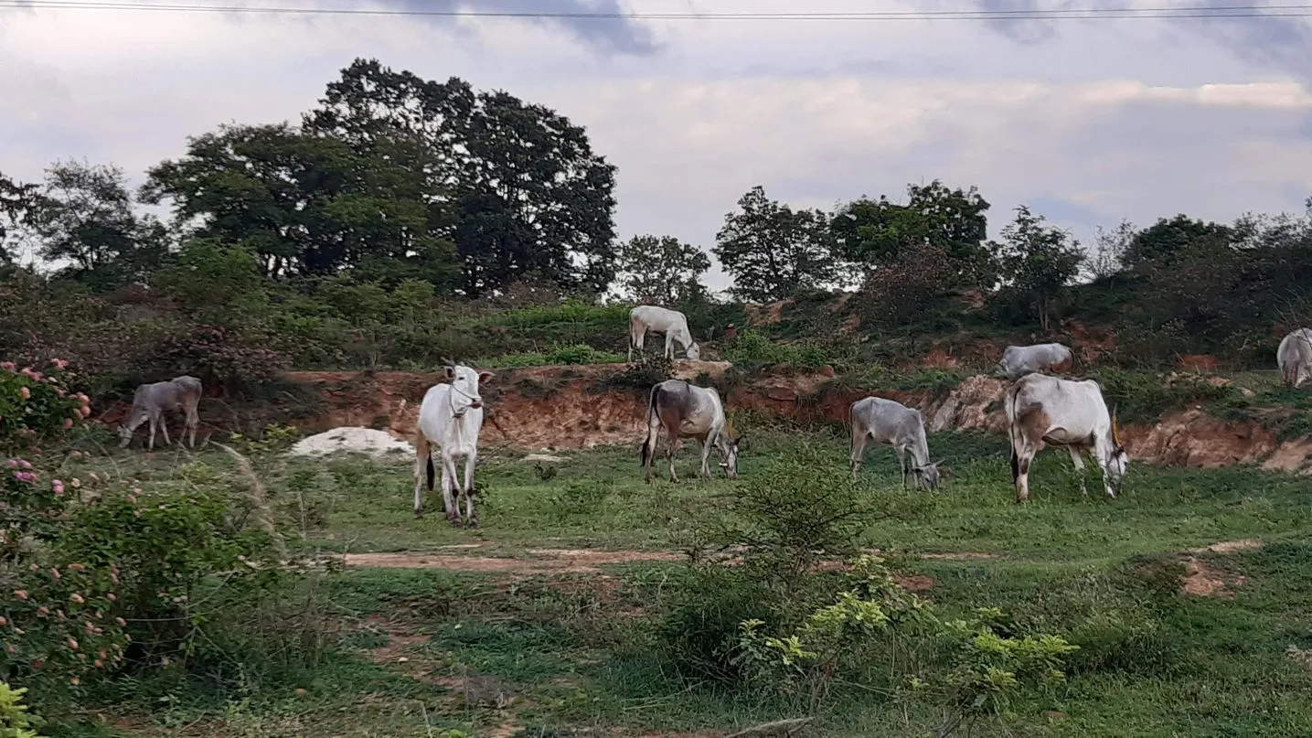 Our Farm