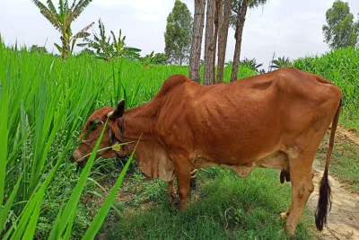 Our Farm