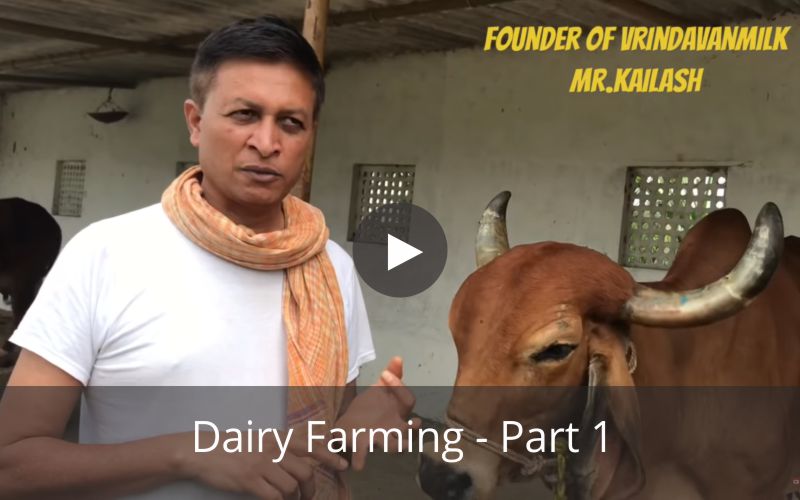 Dairy Farming - Part 1