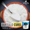 Buffalo Curd